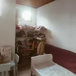 Birds House