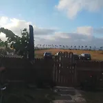 Birds House