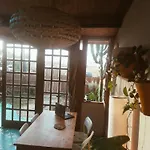 Birds House