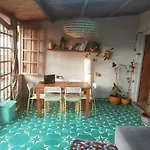 Birds House