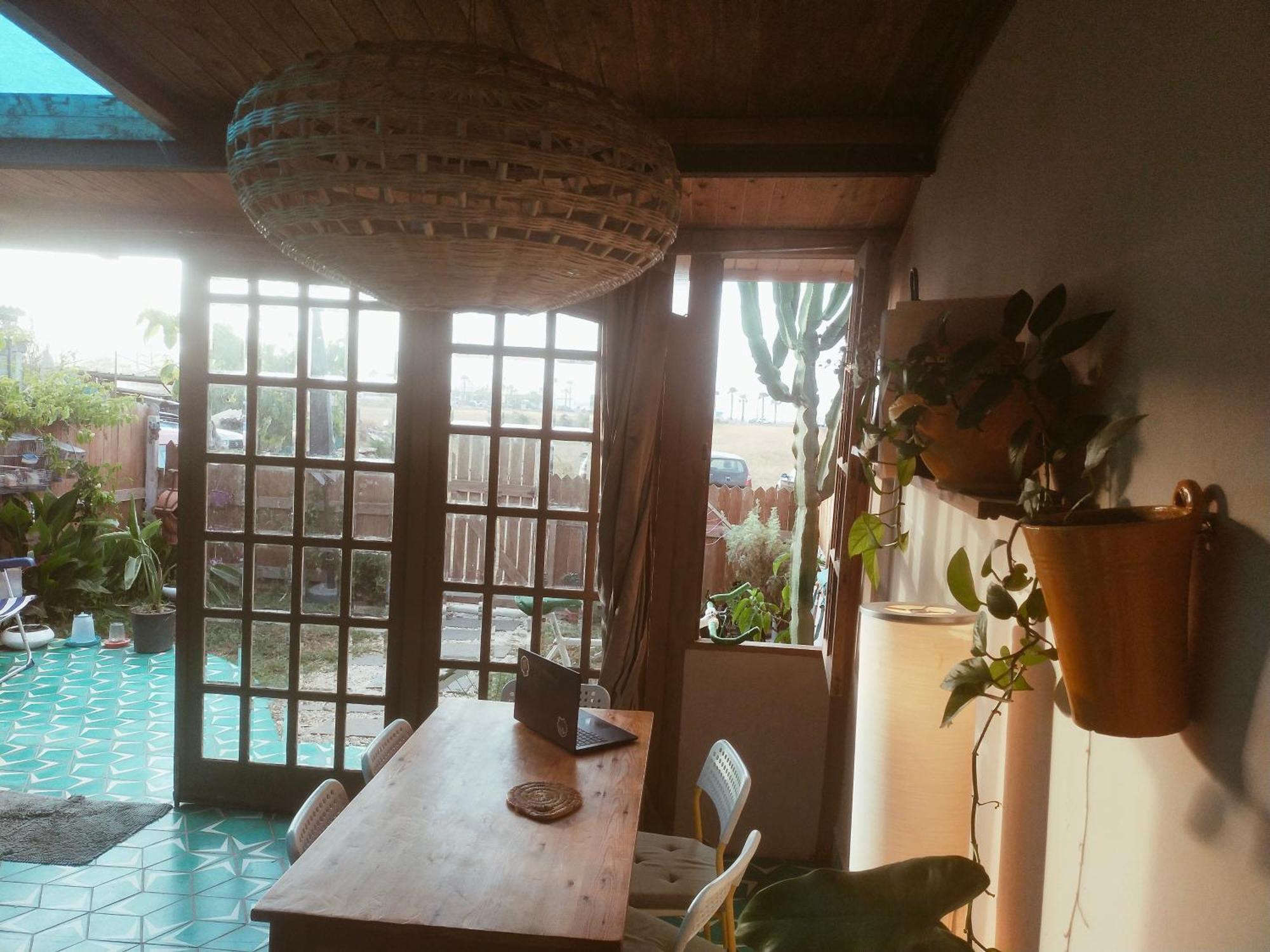 Birds House